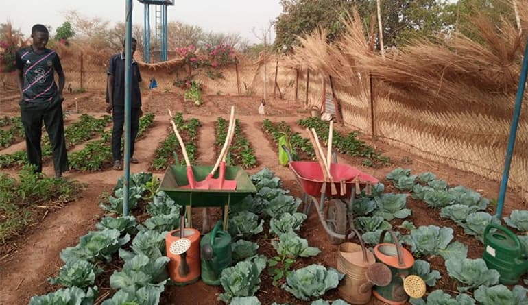 Centro di formazione tecnico agro-pastorale a Niéssega